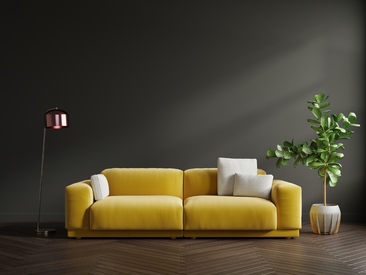 Rental of Soft Furniture, Audio-Visual Equipment, and More